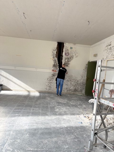 Pintura para paredes con humedad